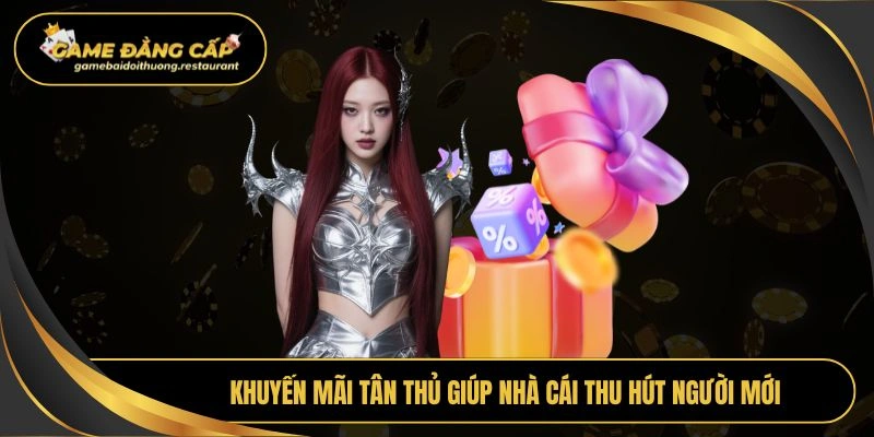 Khuyến mãi tân thủ giúp nhà cái thu hút người mới